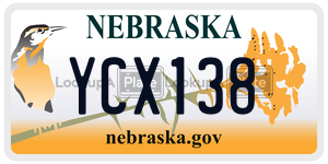YCX138  license plate in NE