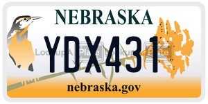 YDX431  license plate in NE