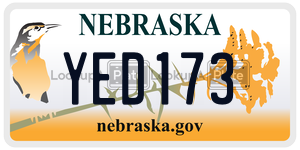 YED173  license plate in NE