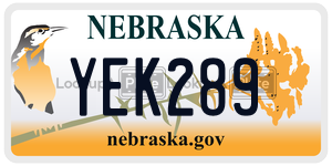 YEK289  license plate in NE