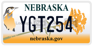 YGT254  license plate in NE