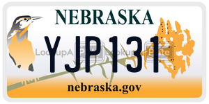 YJP131  license plate in NE