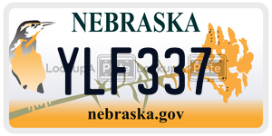 YLF337  license plate in NE