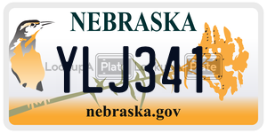 YLJ341  license plate in NE