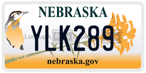 YLK289  license plate in NE