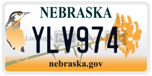 YLV974  license plate in NE