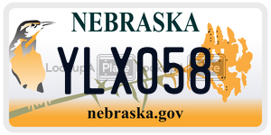YLX058  license plate in NE