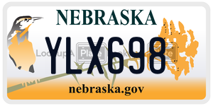 YLX698  license plate in NE