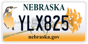 YLX825  license plate in NE
