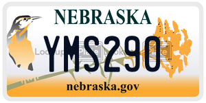YMS290  license plate in NE