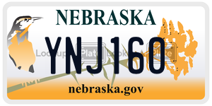 YNJ160  license plate in NE