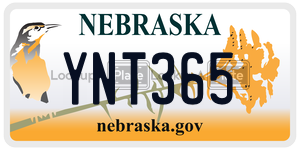 YNT365  license plate in NE