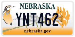 YNT462  license plate in NE
