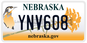 YNV608  license plate in NE