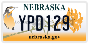 YPD129  license plate in NE