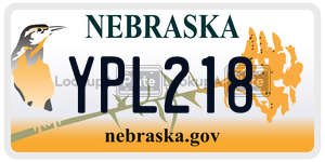 YPL218  license plate in NE