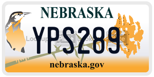 YPS289  license plate in NE