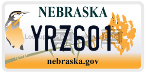 YRZ601  license plate in NE