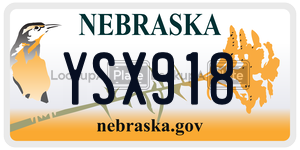 YSX918  license plate in NE