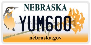 YUM600  license plate in NE