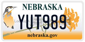 YUT989  license plate in NE