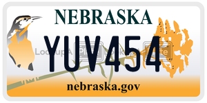 YUV454  license plate in NE
