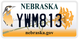 YWM813  license plate in NE