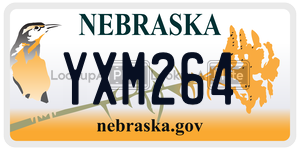 YXM264  license plate in NE