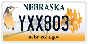 YXX803  license plate in NE