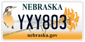 YXY803  license plate in NE