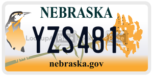 YZS481  license plate in NE