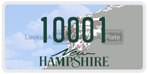 10001  license plate in NH