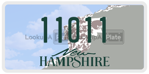 11011  license plate in NH