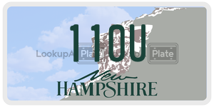 110U  license plate in NH