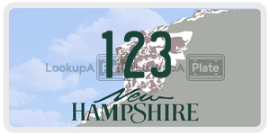 123  license plate in NH
