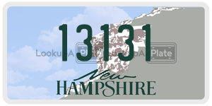 13131  license plate in NH