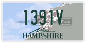 1391V  license plate in NH