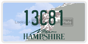 13C81  license plate in NH