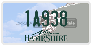 1A938  license plate in NH