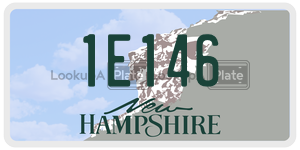 1E146  license plate in NH