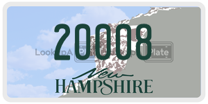 20008  license plate in NH