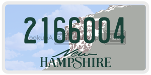 2166004  license plate in NH