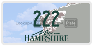 222  license plate in NH