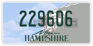 229606  license plate in NH