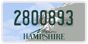 2800893  license plate in NH