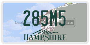285M5  license plate in NH
