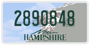 2890848  license plate in NH