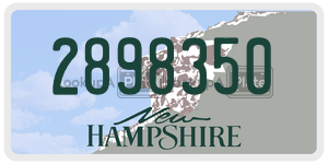 2898350  license plate in NH