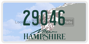 29046  license plate in NH