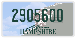2905600  license plate in NH